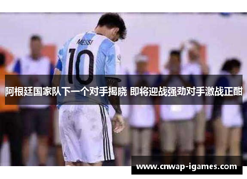 阿根廷国家队下一个对手揭晓 即将迎战强劲对手激战正酣 阿根廷国家队下一个对手揭晓 即将迎战强劲对手激战正酣