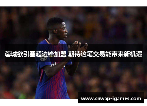 蓉城欲引塞超边锋加盟 期待这笔交易能带来新机遇 蓉城欲引塞超边锋加盟 期待这笔交易能带来新机遇