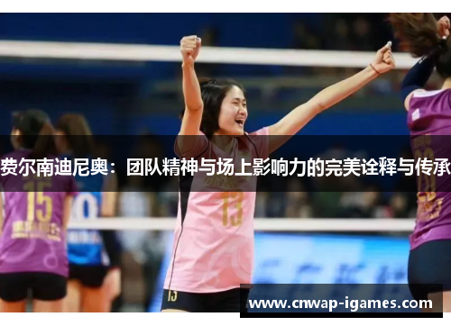 费尔南迪尼奥:团队精神与场上影响力的完美诠释与传承 费尔南迪尼奥:团队精神与场上影响力的完美诠释与传承