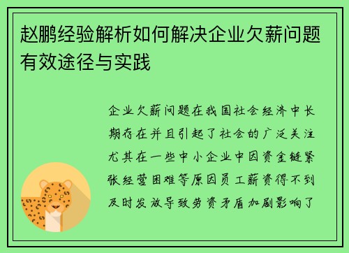 赵鹏经验解析如何解决企业欠薪问题有效途径与实践 赵鹏经验解析如何解决企业欠薪问题有效途径与实践