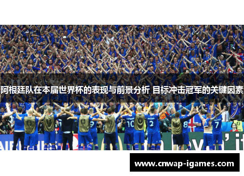阿根廷队在本届世界杯的表现与前景分析 目标冲击冠军的关键因素 阿根廷队在本届世界杯的表现与前景分析 目标冲击冠军的关键因素
